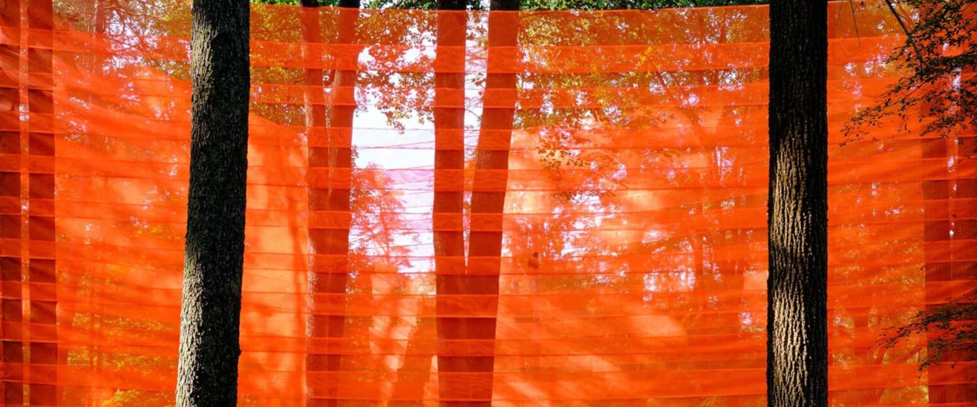 Exploring the Vibrant Art Scene in Madison County, Kentucky