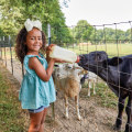 The Impact of Arts on Tourism in Madison County, Kentucky: An Expert's Perspective