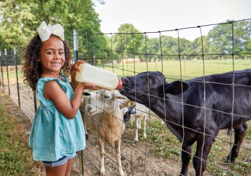The Impact of Arts on Tourism in Madison County, Kentucky: An Expert's Perspective